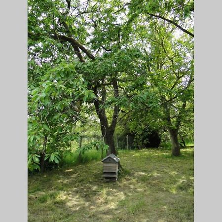 Miller'S Farm. Cottage On The Auhtie For 2 Hem-Hardinval Buitenkant foto