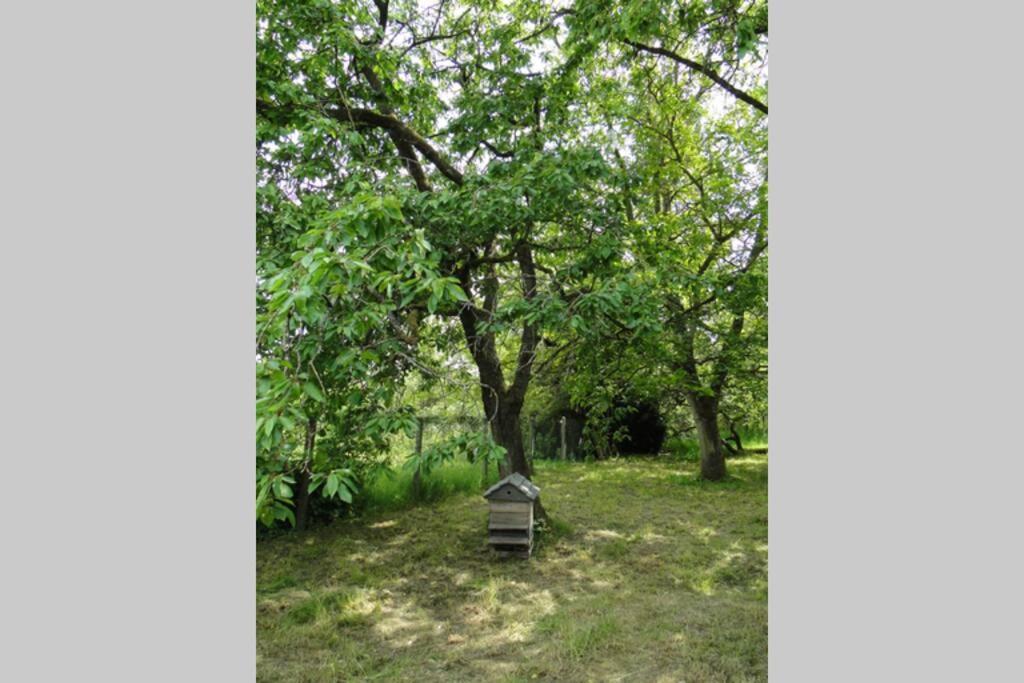 Miller'S Farm. Cottage On The Auhtie For 2 Hem-Hardinval Buitenkant foto